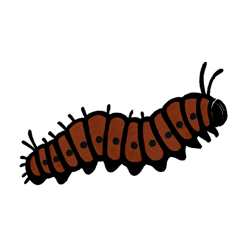Metamorphosis Caterpillar design preview