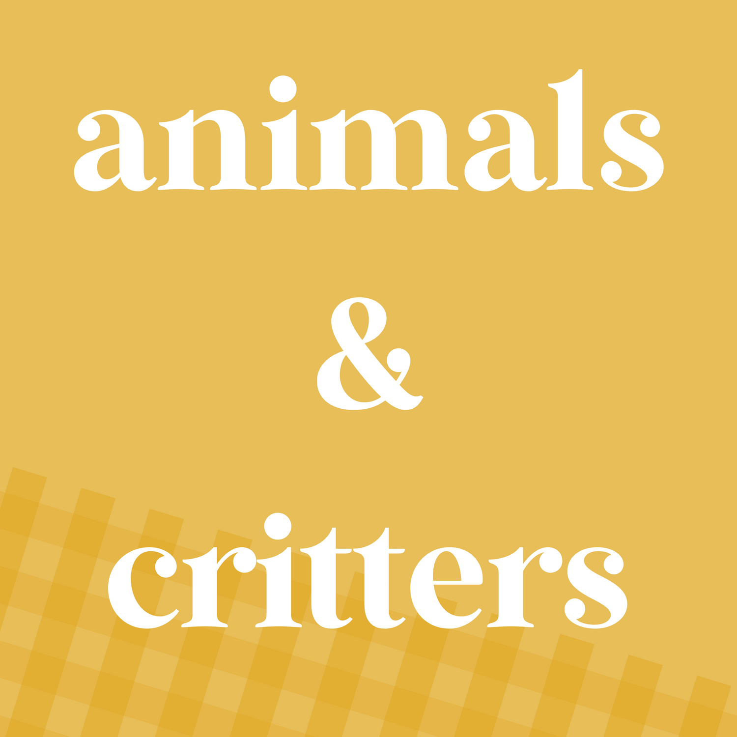 Animals & Critters