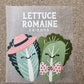lettuce romaine friends | DTF TRANSFER | READY-TO-PRESS